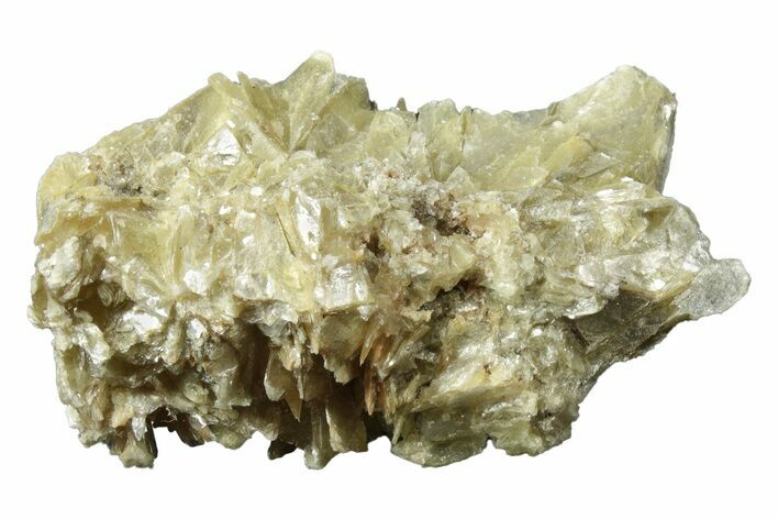Lustrous Muscovite Crystal Cluster - Minas Gerais, Brazil #231914